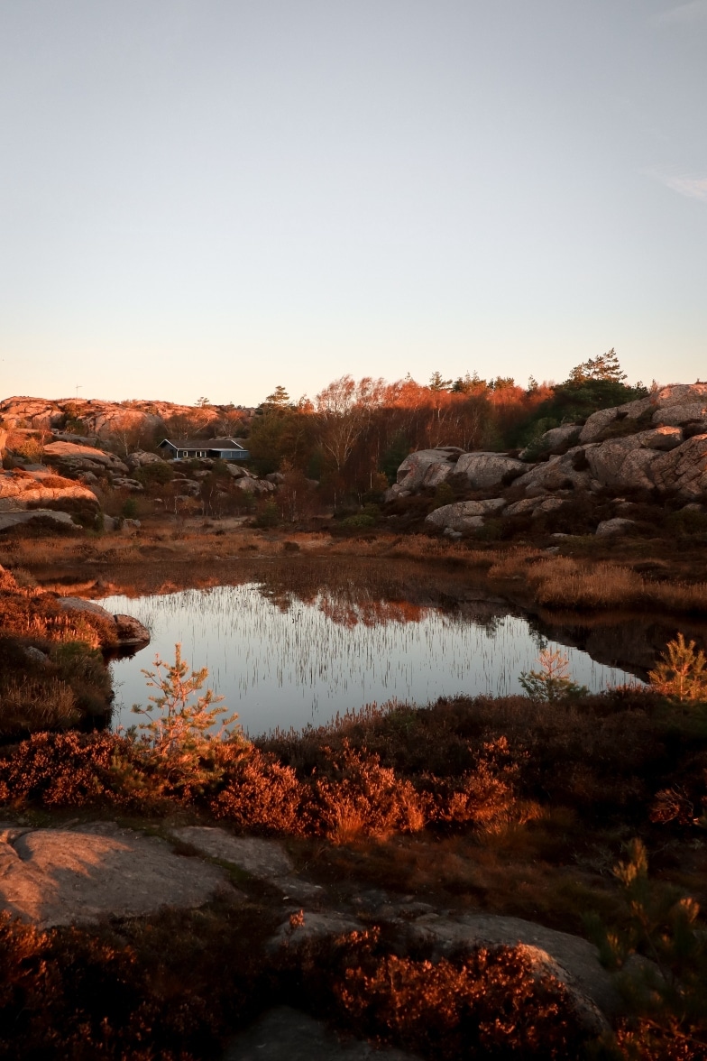 vådområde-lake-vaadomraade-Sverige-Sweden-Embla-Munk-Rynkebjerg