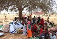 Chad-refugees seek shelter under tree