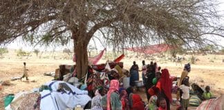 Chad-refugees seek shelter under tree