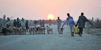 Two young boys carry water next to an camp for displaced people near the town of Jowhar, Somalia