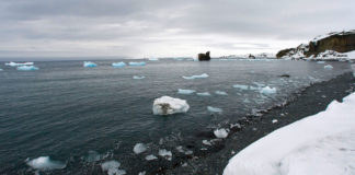 Aerial view of melting glaciers on King George Island, Antarctica. This latest report of an Arctic temperature more typical of the Tropics comes a few months after the Argentine research base, Esperanza, on the northern tip of the Antarctic peninsula, set a new record temperature.