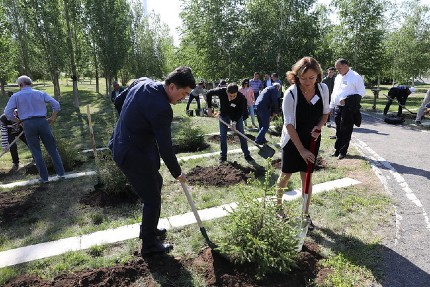 People planting tress