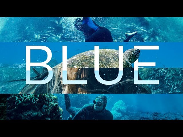 Ciné-ONU Ocean Week 2020 screening of Blue