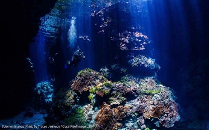 Solomon Islands. Photo by Tracey Jennings / Coral Reef Image bank