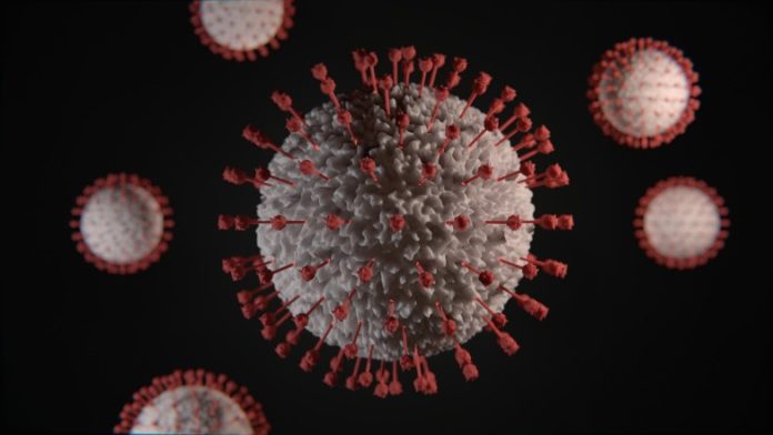 Image of virus | © Viktor Forgacs via Unsplash