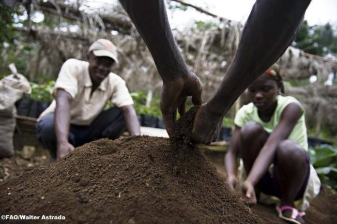 Farmers working the soil by hand