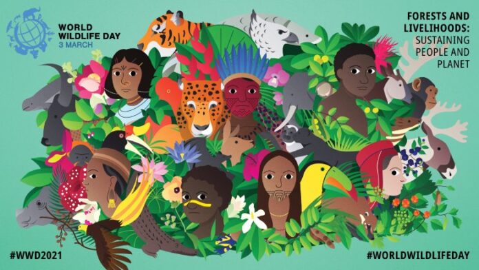 World Wildlife Day poster