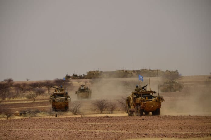 Jackals driving through the desert