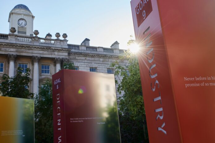 Forests For Change Exhibition with Sun in background