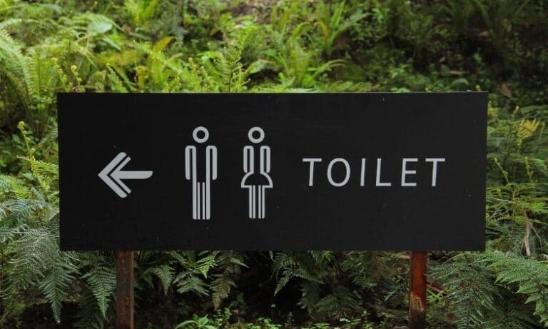 Why we all should care about toilets