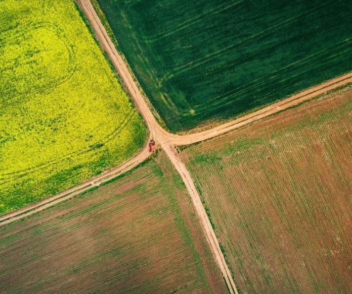 UN Visuals: Agriculture banner