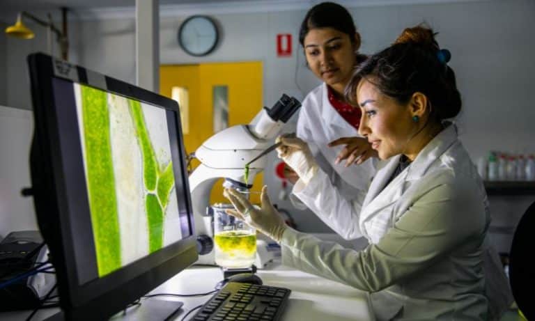 two female scientists working