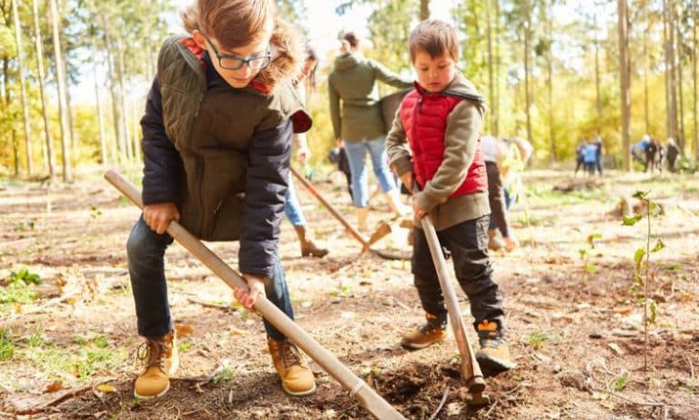 children helping work the soil to plant bushes and trees