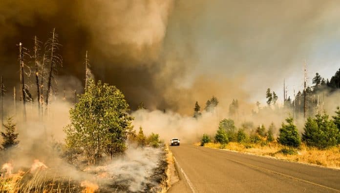 Photo of a vehicle travelling through burning bush fires on the side of the road. © Marcus Kauffman via Unsplash