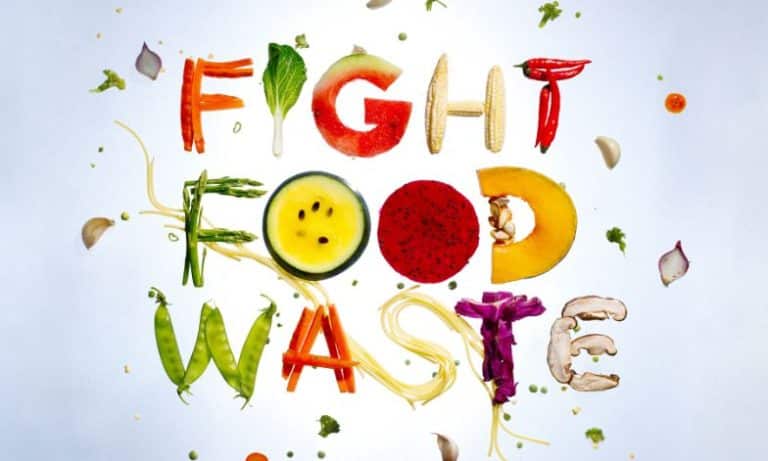 Food for Thought: Tackling Food Waste for a Sustainable Future