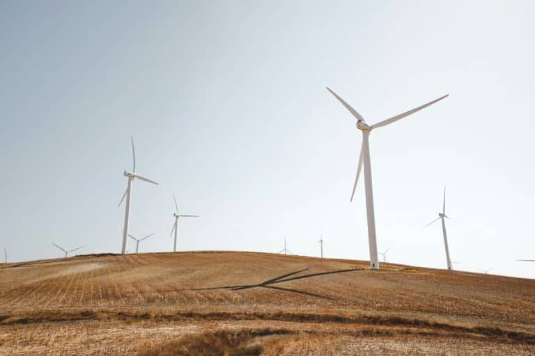 Wind turbines in a field