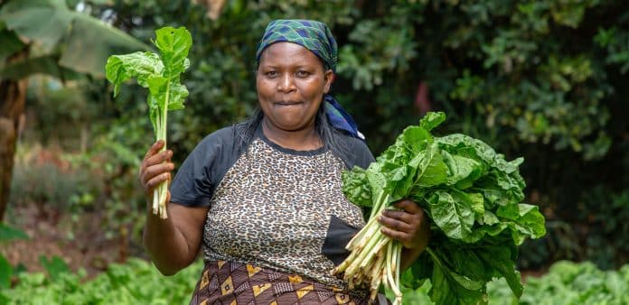 The bonds investments will support the transformation of food systems to make them more equitable and sustainable.