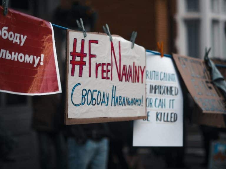 Sign reading "Free Navalyn" from a protest