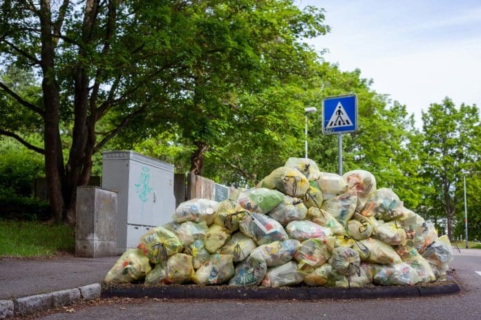 Food Waste in Tübingen. © Photo : Jas Min/Unsplash