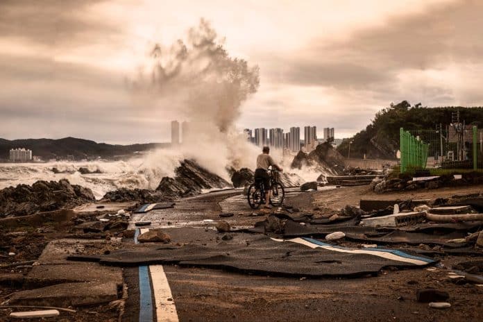 Photographer: Eun Ok Cho (Republic of Korea) Location: Gyeongju, Gyeongsangbuk-do, Republic of Korea Title: Trace of Typhoon