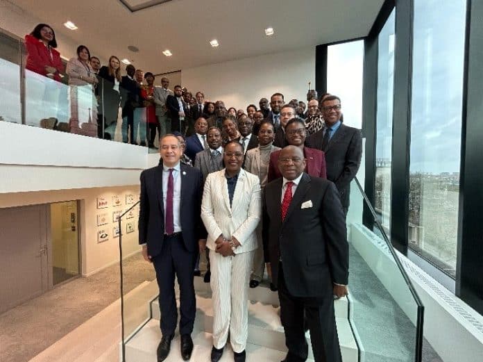 Harnessing the potential of business diplomacy for investment promotion in Africa, Caribbean and Pacific countries