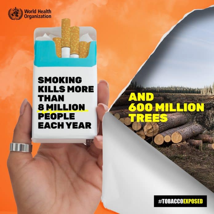 World No Tobacco Day poster 2024 - Cigarette package with a warning and a fact about trees