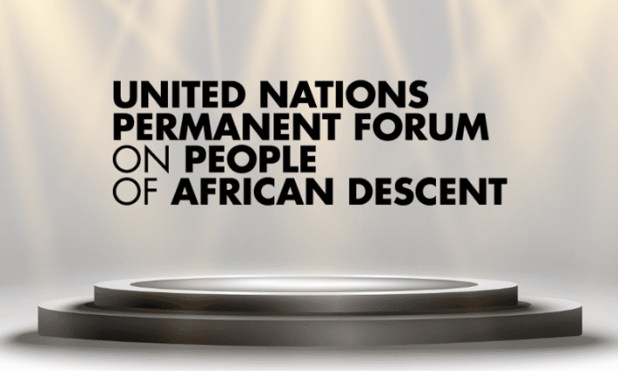 International contest for a visual identity for the Permanent Forum on People of African Descent