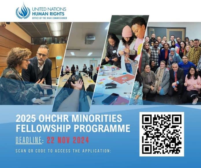 2025 UN Human Rights Minority Fellowship Programme poster