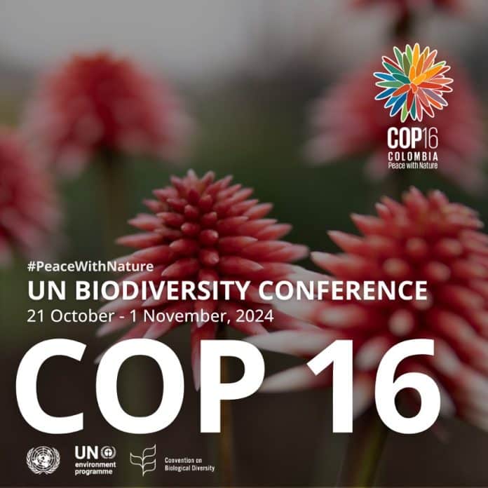 Cali will welcome nations for #COP16Colombia. From 21 Oct - 1 Nov 2024, move closer to #PeaceWithNature and safeguard the planet.