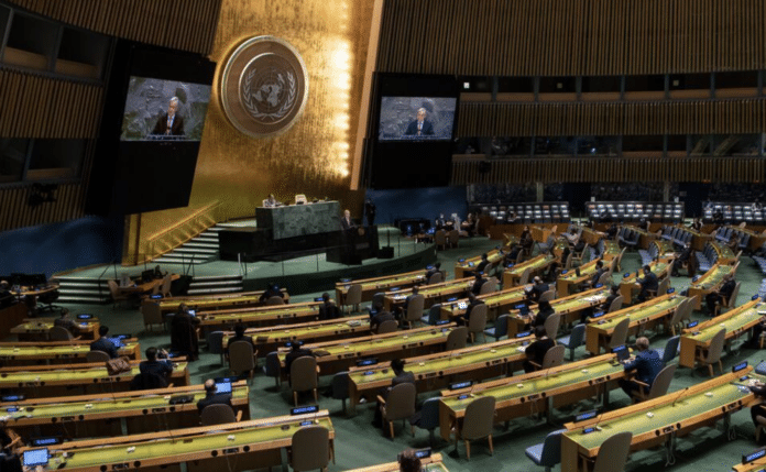 Asamblea General de las Naciones Unidas