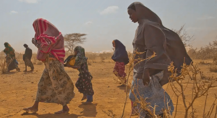 Refugiados somalíes-UNICEF-Jiro Ose