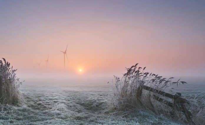 amanecer-helado-Pingjum-Frisia-Países-Bajos-Calendario-2020-OMM-Anna-Zuidema