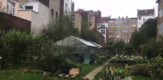 Photo-dun-jardin-et-potager