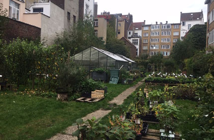 Photo-dun-jardin-et-potager