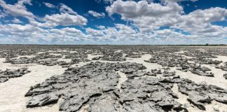 Un désert à perte de vue