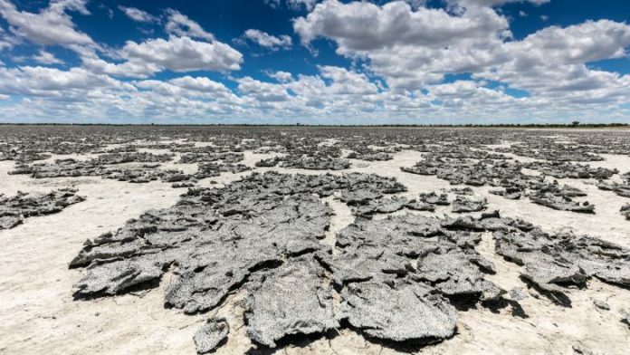 Un désert à perte de vue