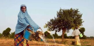 femme arrosant un champ