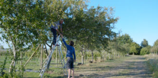 deux hommes dans une forêt alimentaire