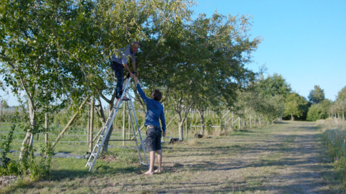 deux hommes dans une forêt alimentaire