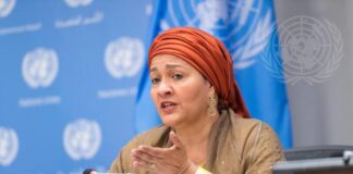 Amina Mohammed, nations unies,