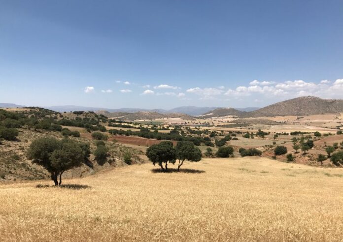 Paysage Altiplano espagne aride