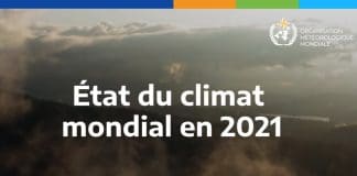 Quatre indicateurs du climat battent des records