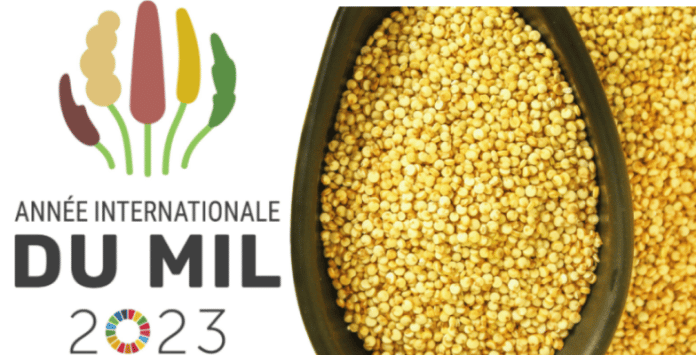 2023 année du mil. Bol rempli de grains de mil.