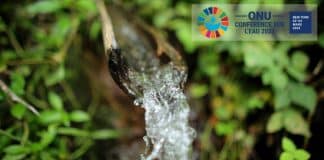 Conférence des Nations Unies sur l'eau