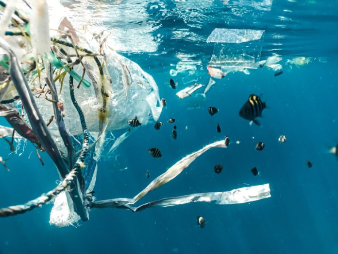 déchets plastiques dans l'océan