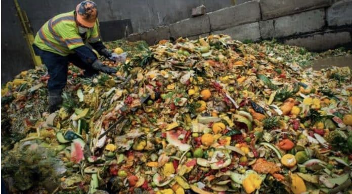 Montagne de déchets alimentaires. Chaque habitant de la planète gaspille en moyenne 79 kg de nourriture chaque année.