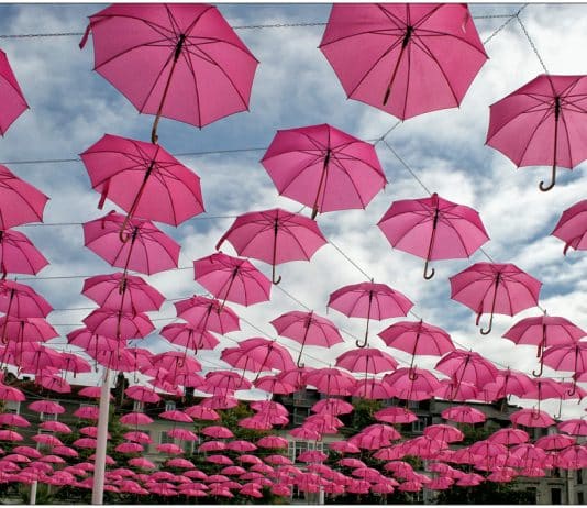 Octobre rose : mois de sensibilisation au cancer du sein. L'alcool peut être une des causes de ce cancer.