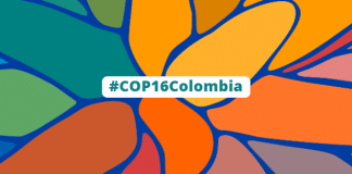 la COP 16 sur la Biodiversité s'est ouverte à Cali en Colombie. Logo officiel de la conférence.