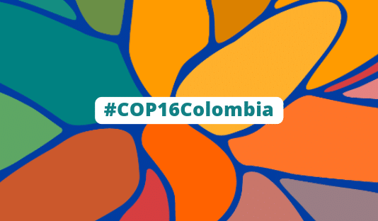 la COP 16 sur la Biodiversité s'est ouverte à Cali en Colombie. Logo officiel de la conférence.