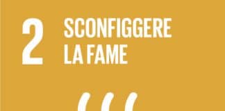 SDG 2 SCONFIGGERE LA FAME